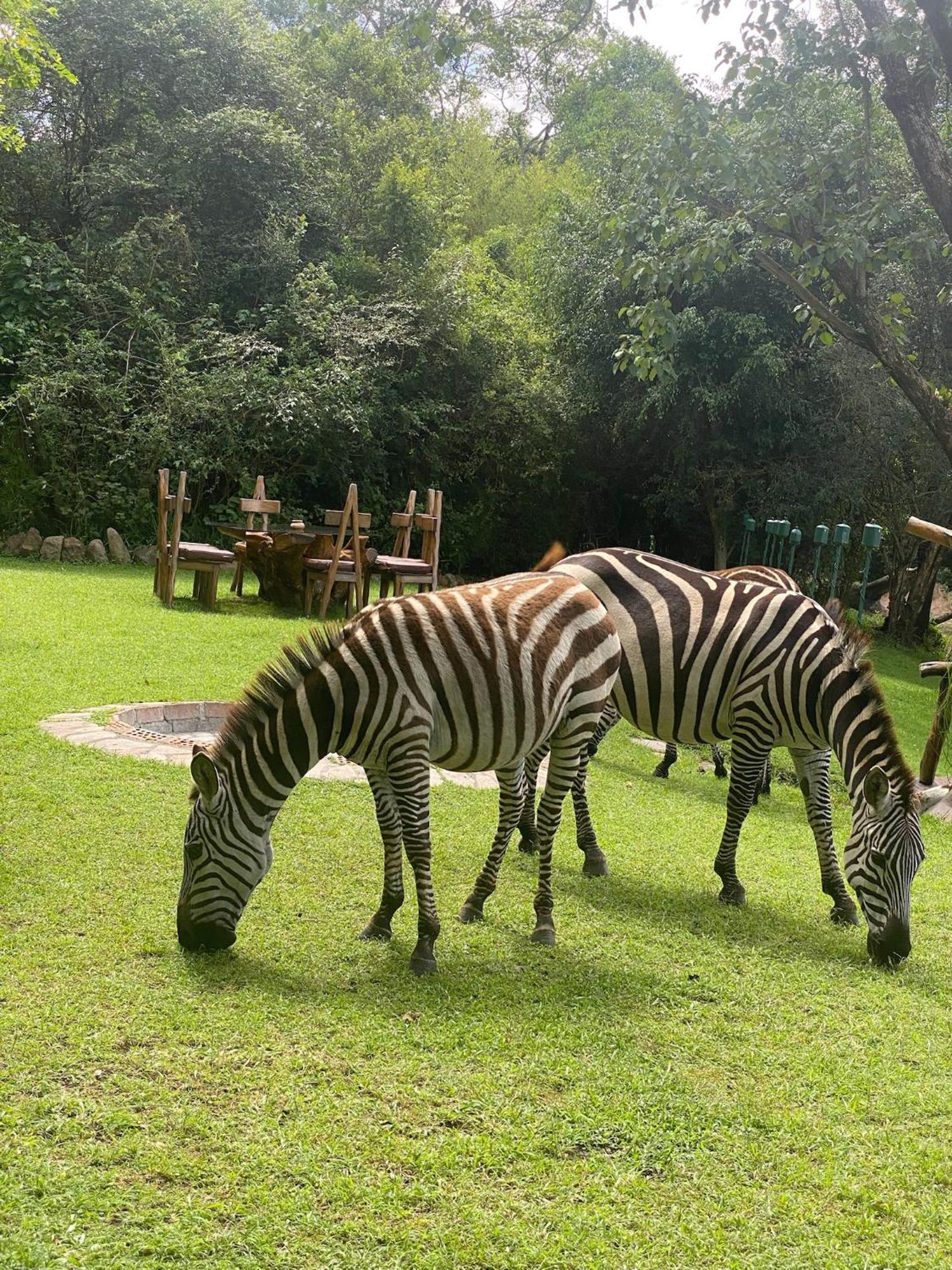 Mara River Camp Aitong ภายนอก รูปภาพ